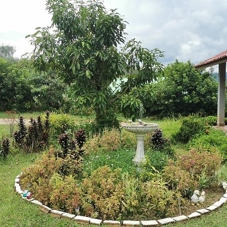 Betong House In The Garden Villa Eksteriør billede